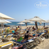 фото из отзыва ID 802788