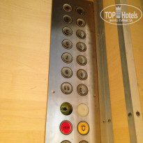 фото из отзыва ID 802836