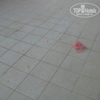 фото из отзыва ID 802968