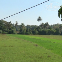 фото из отзыва ID 802750