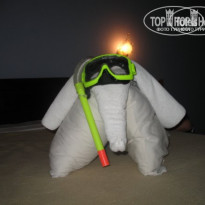 фото из отзыва ID 80240