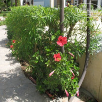 фото из отзыва ID 80240