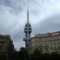 фото из отзыва ID 803130