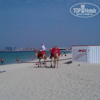 фото из отзыва ID 803279