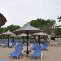 фото из отзыва ID 803351