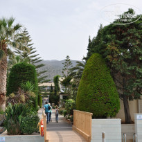 фото из отзыва ID 803351