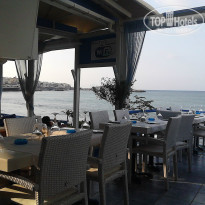 фото из отзыва ID 803381