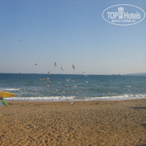 фото из отзыва ID 803391