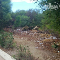 фото из отзыва ID 803400