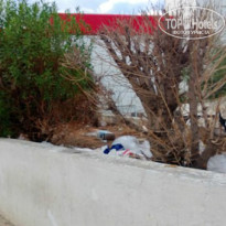 фото из отзыва ID 803400