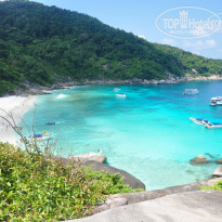 фото из отзыва ID 803567