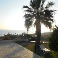 фото из отзыва ID 803625