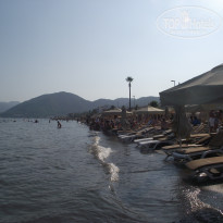 фото из отзыва ID 803672