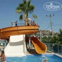 фото из отзыва ID 803701