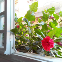 фото из отзыва ID 803803