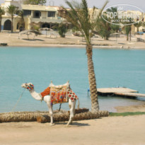 фото из отзыва ID 803836