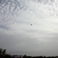 фото из отзыва ID 803298