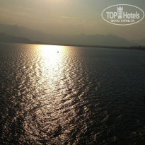 фото из отзыва ID 804062