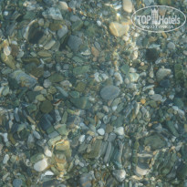 фото из отзыва ID 804188