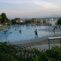 фото из отзыва ID 804180