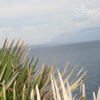 фото из отзыва ID 804180