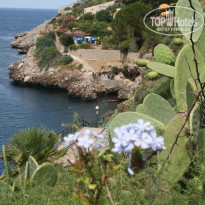 фото из отзыва ID 804180