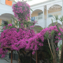 фото из отзыва ID 804264