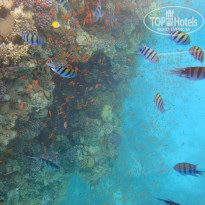 фото из отзыва ID 804344