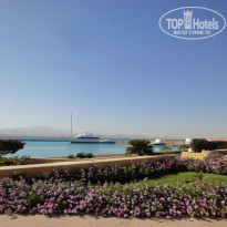 фото из отзыва ID 804344