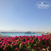 фото из отзыва ID 804344