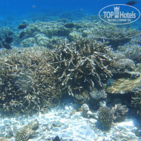 фото из отзыва ID 804423