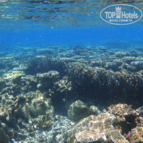 фото из отзыва ID 804423