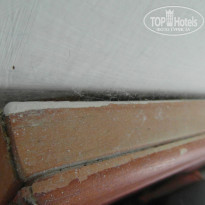 фото из отзыва ID 804369