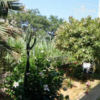 фото из отзыва ID 804625