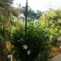 фото из отзыва ID 804625