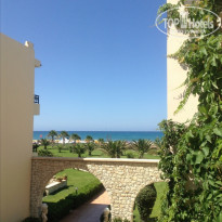 фото из отзыва ID 804847