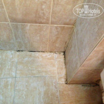 фото из отзыва ID 804515