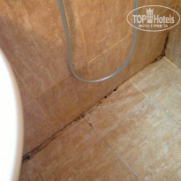 фото из отзыва ID 804515