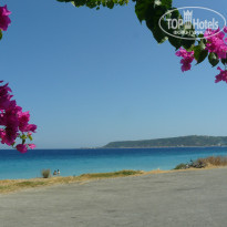 фото из отзыва ID 805076