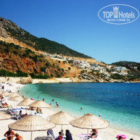 фото из отзыва ID 805092