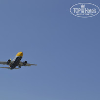 фото из отзыва ID 805124