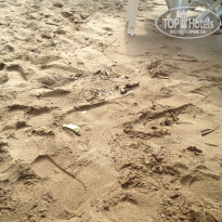 фото из отзыва ID 805136