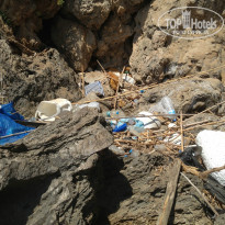 фото из отзыва ID 805136