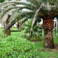 фото из отзыва ID 805238