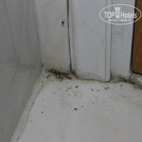 фото из отзыва ID 805355