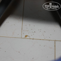 фото из отзыва ID 805355