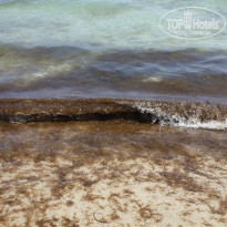 фото из отзыва ID 805473