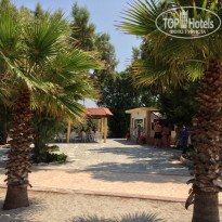 фото из отзыва ID 805472