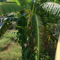 фото из отзыва ID 805472