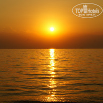 фото из отзыва ID 805599